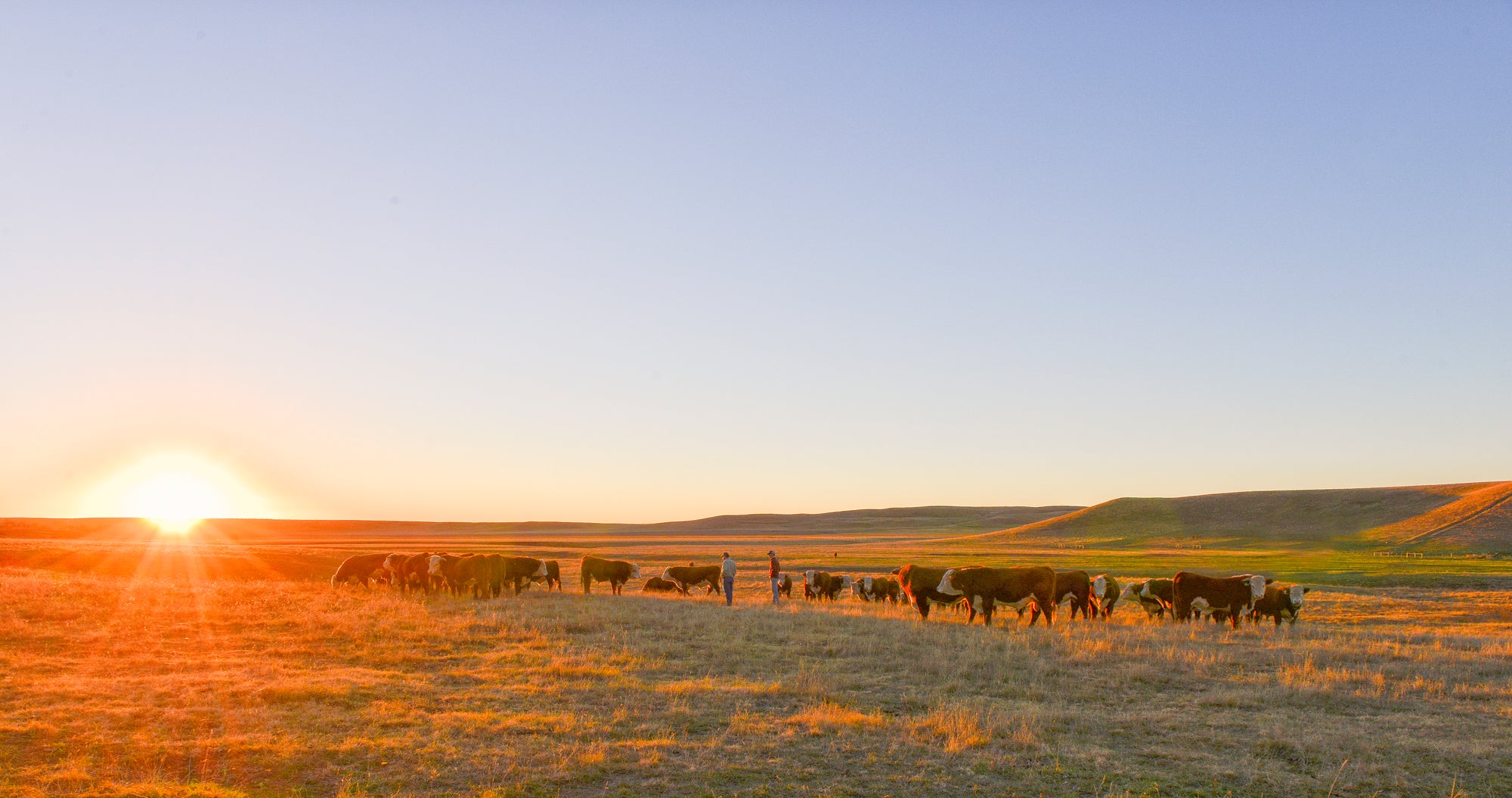 About Us Fawcett's Elm Creek Ranch