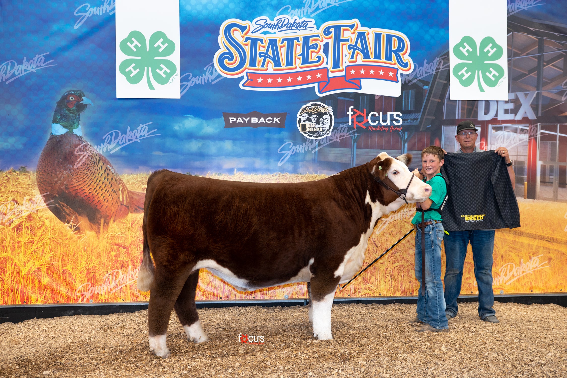 Show Ring Fawcett's Elm Creek Ranch