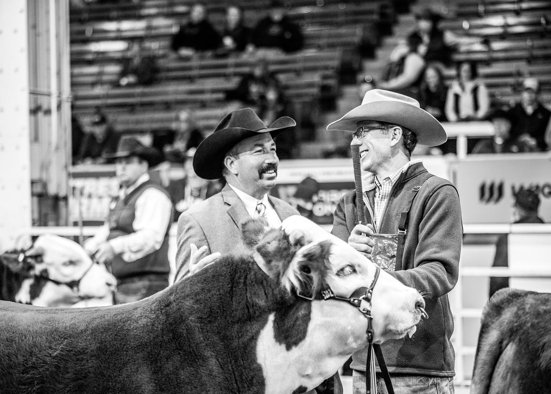 Show Ring Fawcett's Elm Creek Ranch