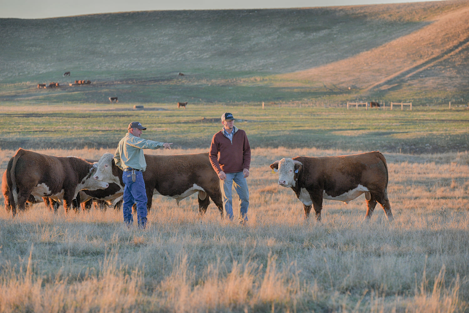 Sales Fawcett's Elm Creek Ranch