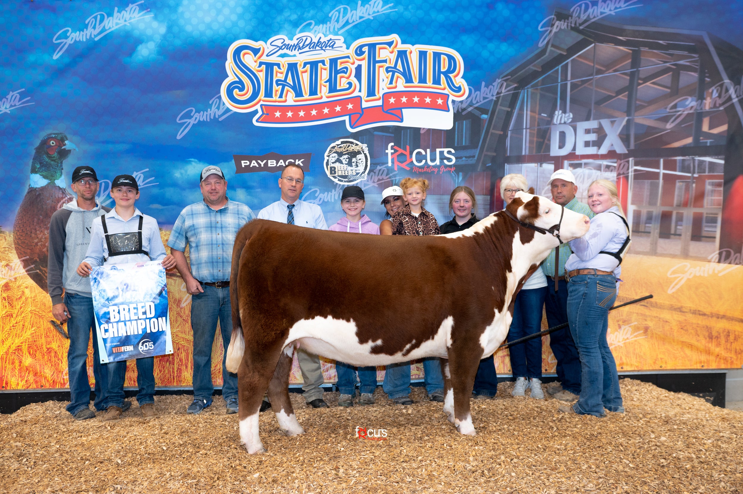 Show Ring Fawcett's Elm Creek Ranch