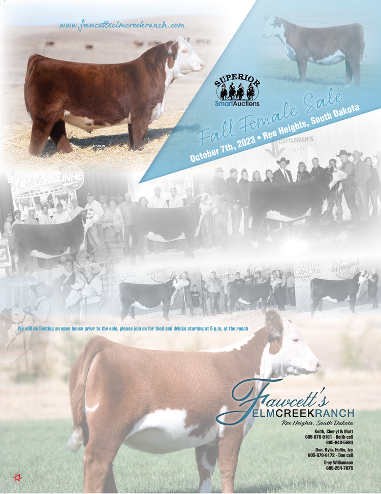 Sales Fawcett's Elm Creek Ranch